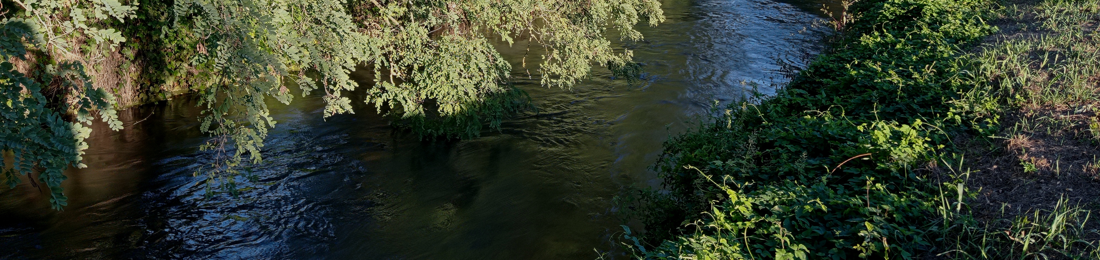Il torrente Arbogna nei pressi di San Giorgio